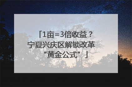 1亩=3倍收益？宁夏兴庆区解锁改革“黄金公式”
